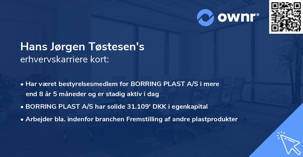 Hans Jørgen Tøstesen's erhvervskarriere kort