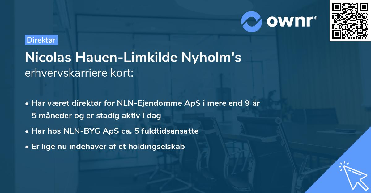 Nicolas Hauen-Limkilde Nyholm's erhvervskarriere kort