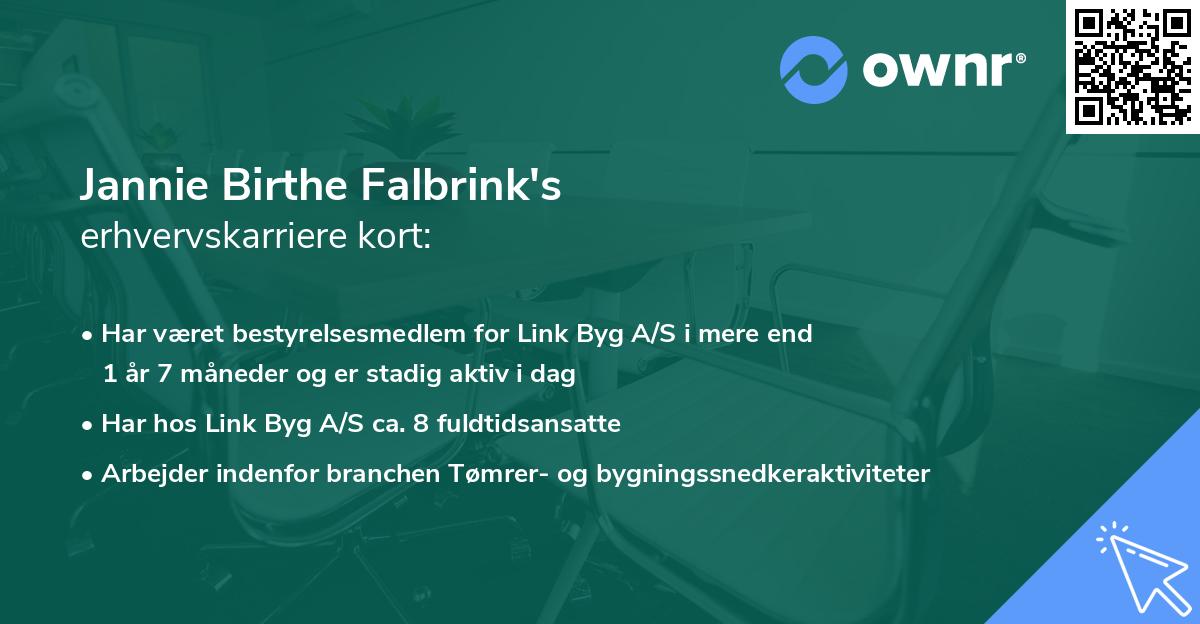 Jannie Birthe Falbrink's erhvervskarriere kort