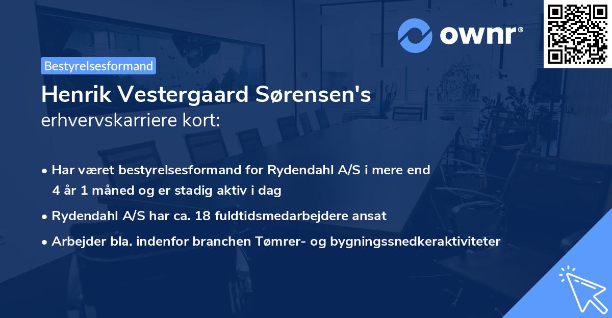 Henrik Vestergaard Sørensen's erhvervskarriere kort