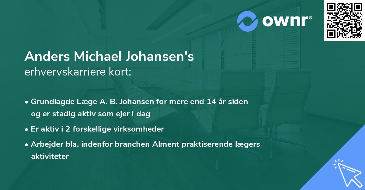 Anders Michael Johansen's erhvervskarriere kort