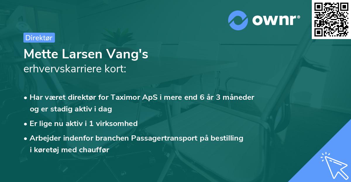 Mette Larsen Vang's erhvervskarriere kort