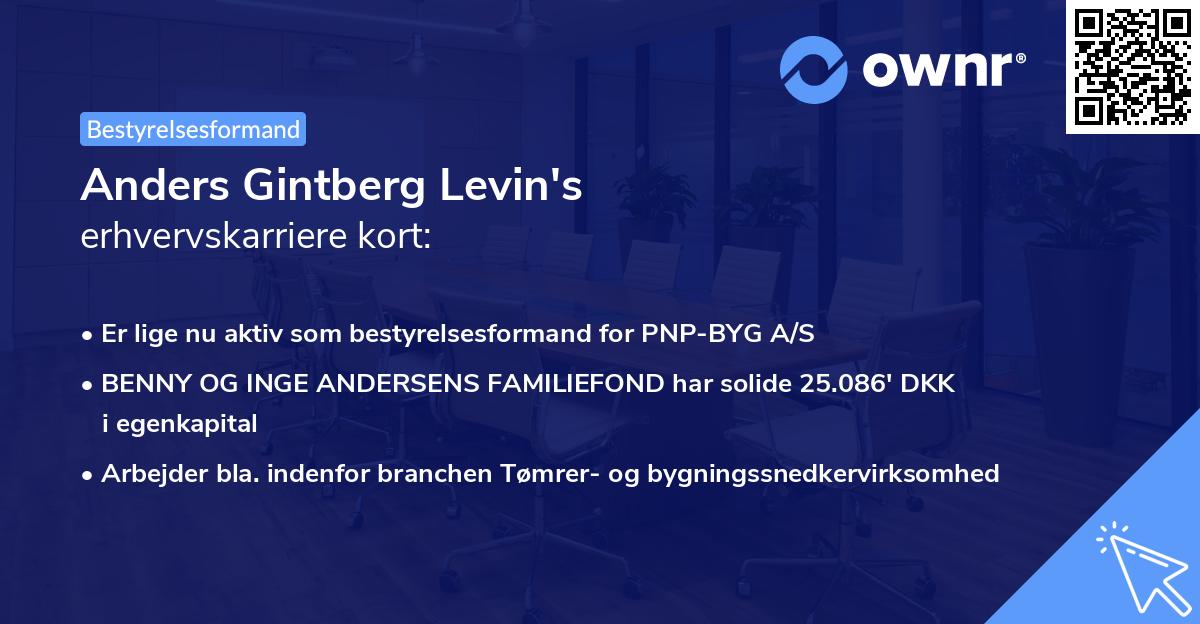 Anders Gintberg Levin's erhvervskarriere kort