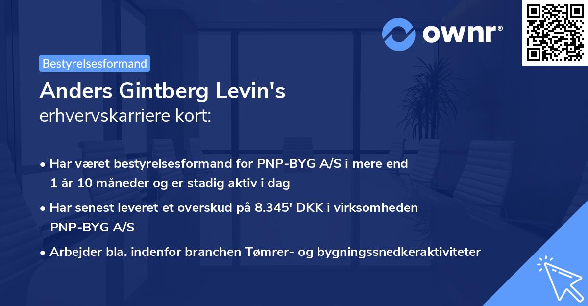 Anders Gintberg Levin's erhvervskarriere kort
