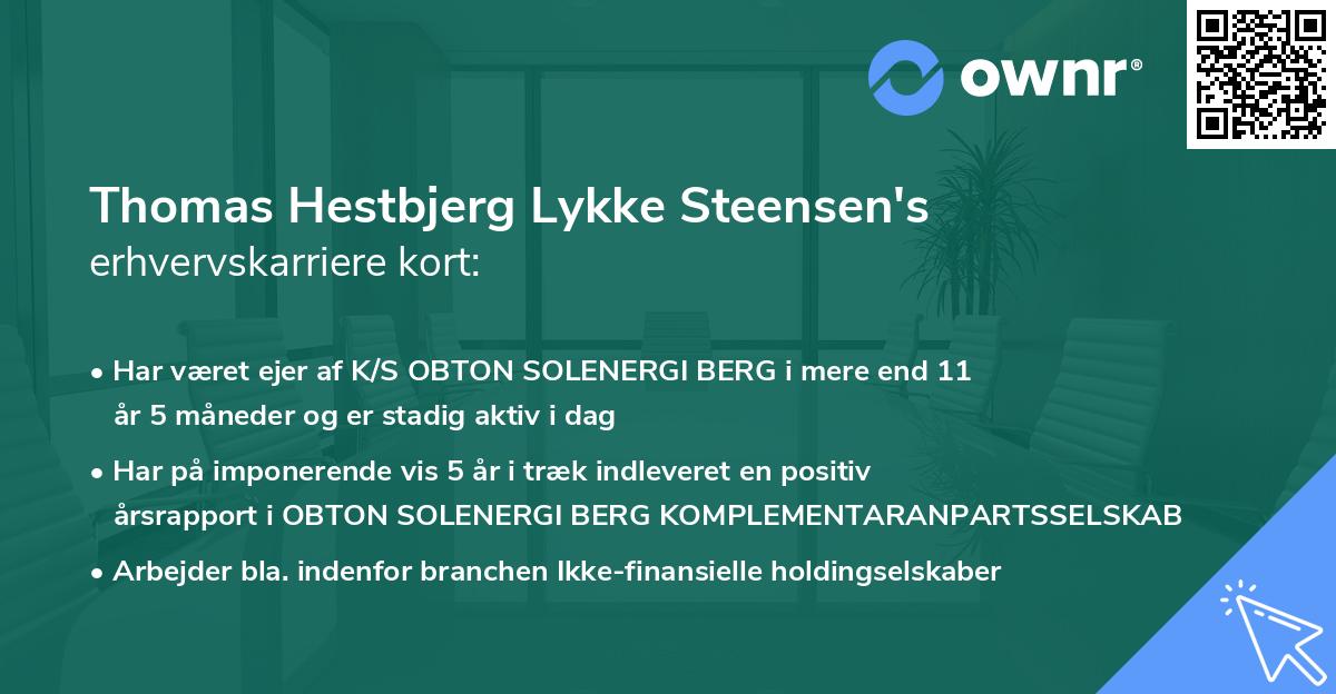 Thomas Hestbjerg Lykke Steensen's erhvervskarriere kort