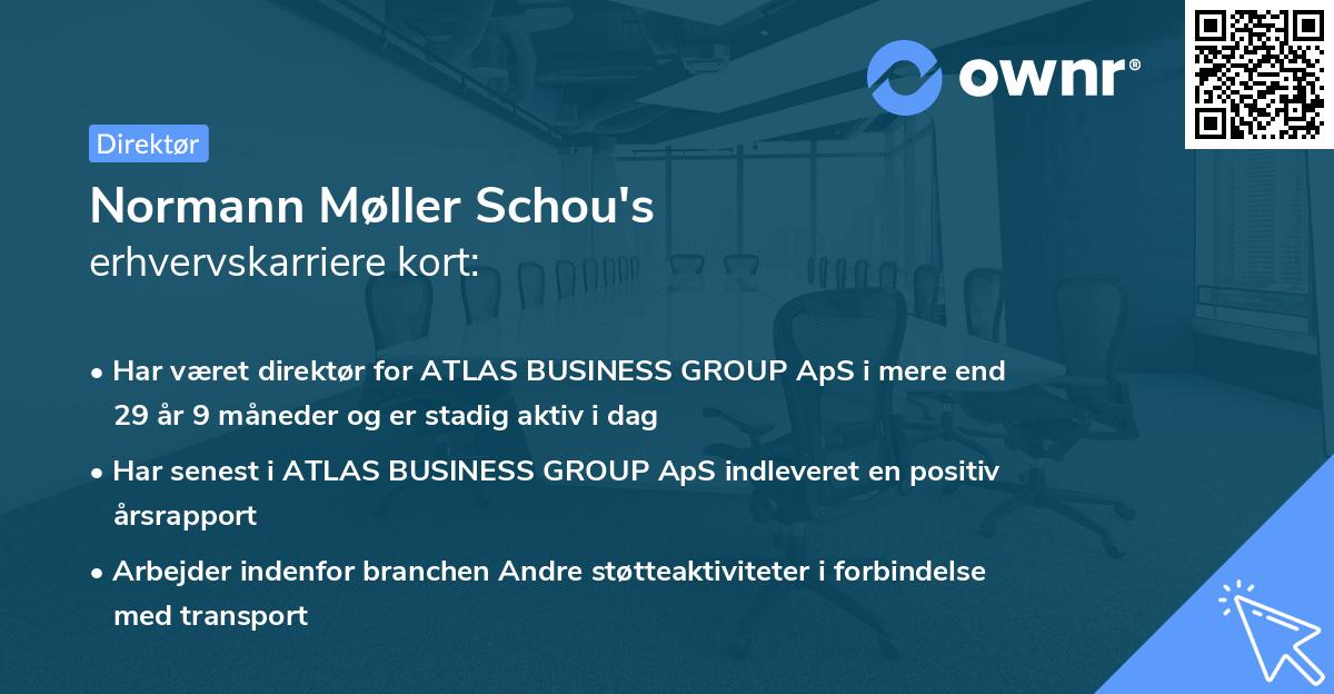 Normann Møller Schou's erhvervskarriere kort
