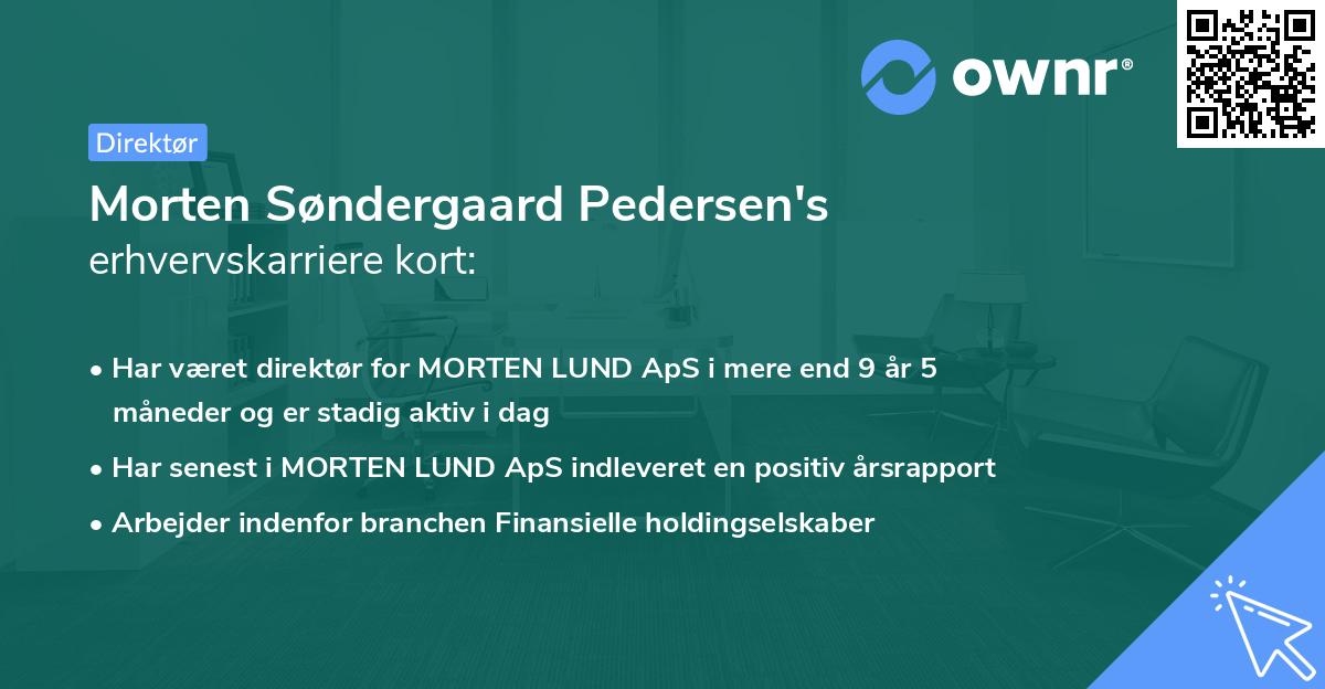 Morten Søndergaard Pedersen's erhvervskarriere kort