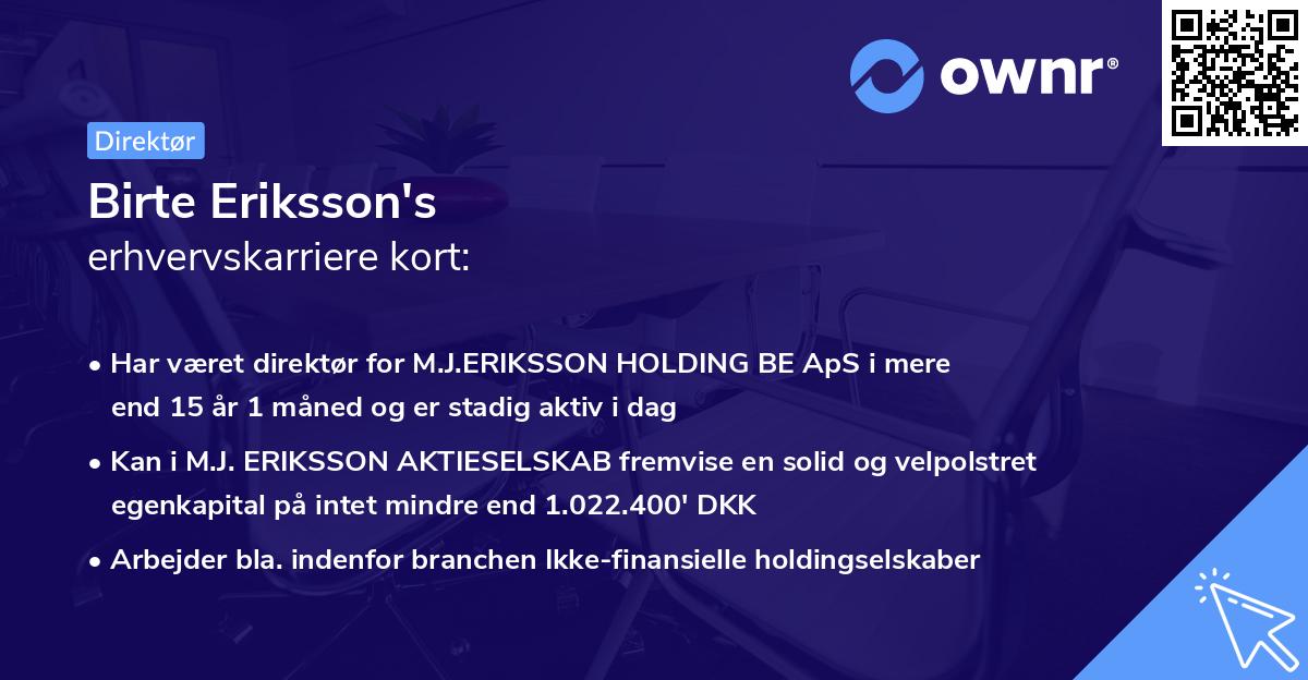 Birte Eriksson's erhvervskarriere kort