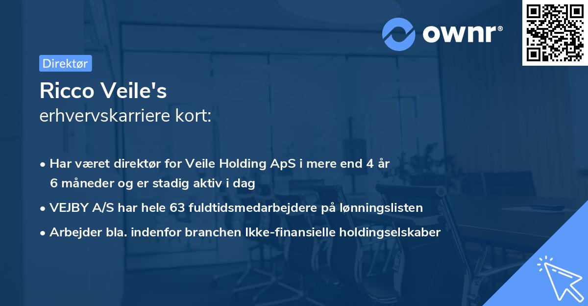 Ricco Veile's erhvervskarriere kort