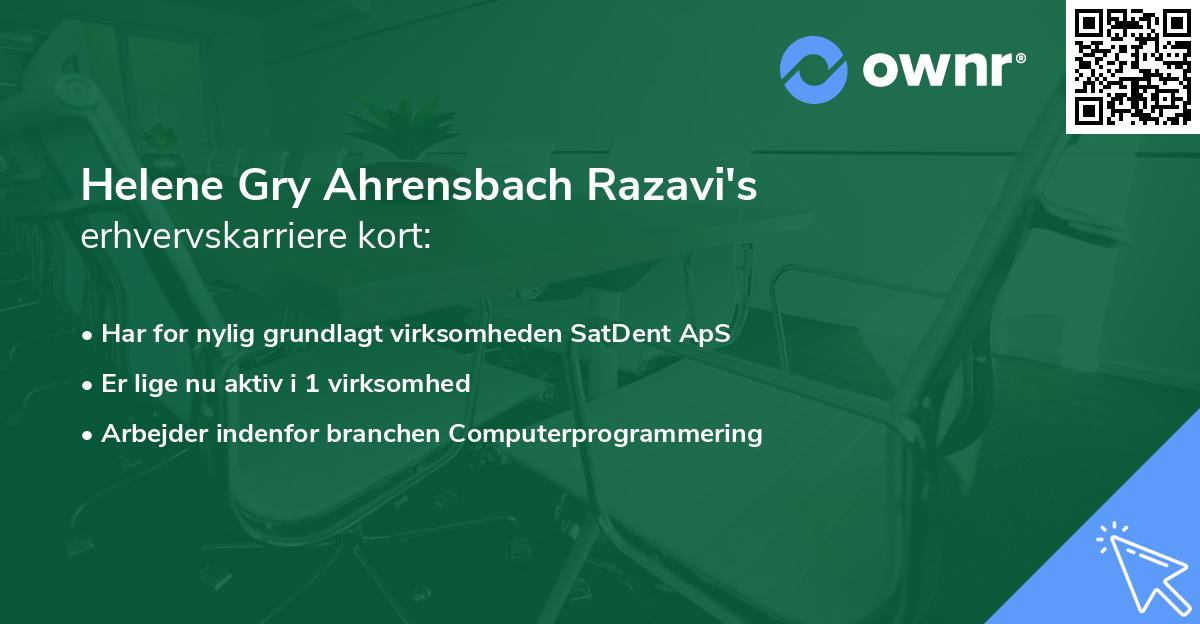 Helene Gry Ahrensbach Razavi's erhvervskarriere kort