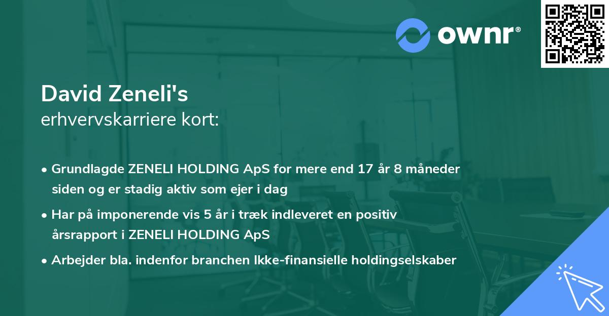 David Zeneli's erhvervskarriere kort