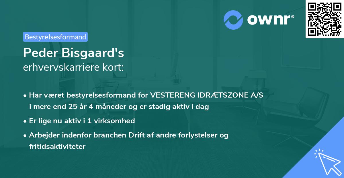 Peder Bisgaard's erhvervskarriere kort