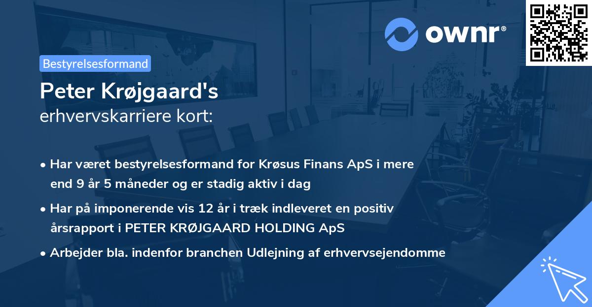 Peter Krøjgaard's erhvervskarriere kort