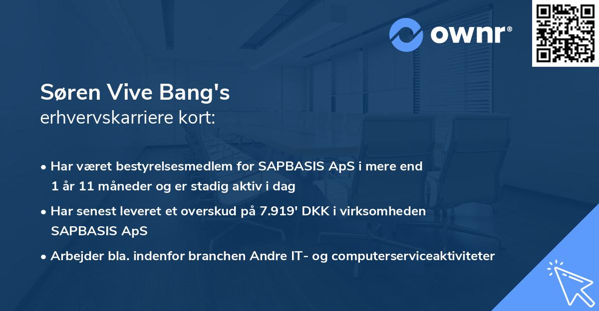 Søren Vive Bang's erhvervskarriere kort