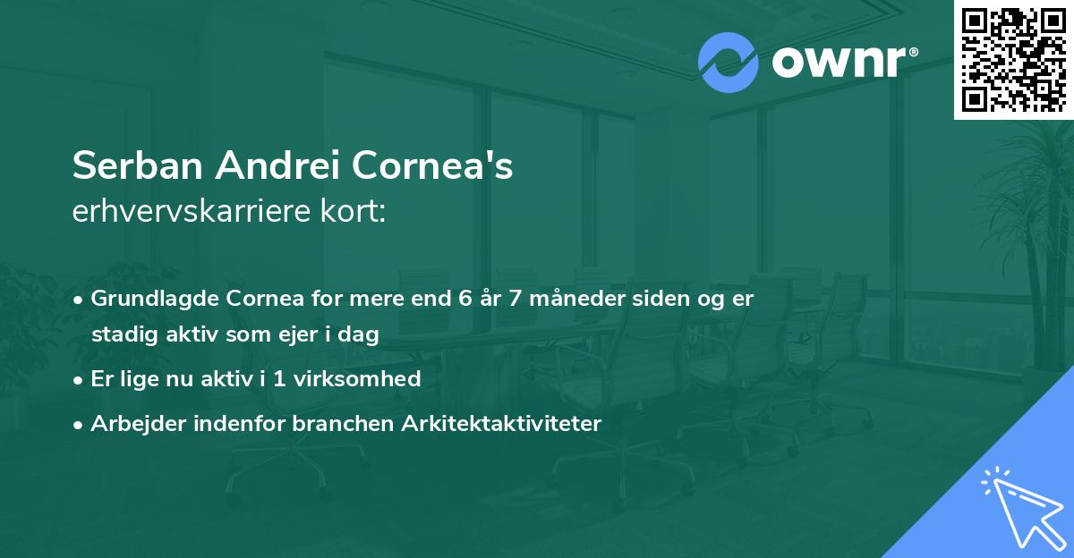 Serban Andrei Cornea's erhvervskarriere kort