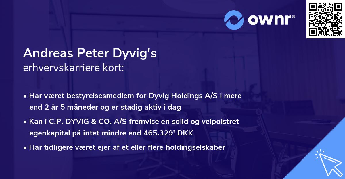 Andreas Peter Dyvig's erhvervskarriere kort