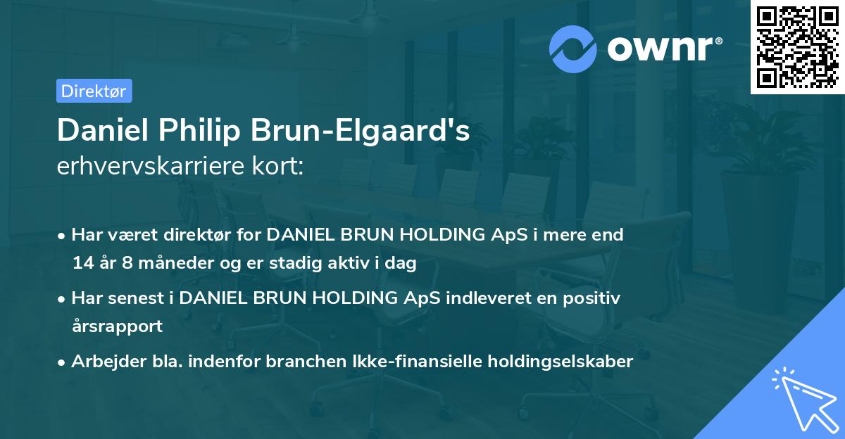 Daniel Philip Brun-Elgaard's erhvervskarriere kort