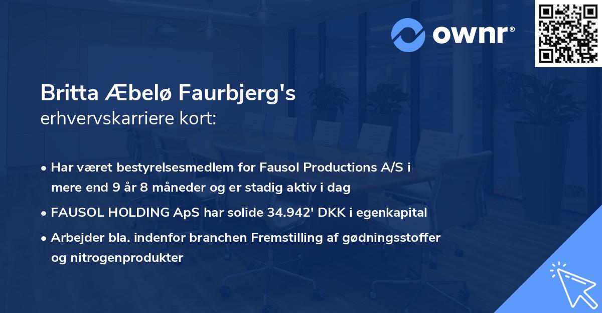 Britta Æbelø Faurbjerg's erhvervskarriere kort