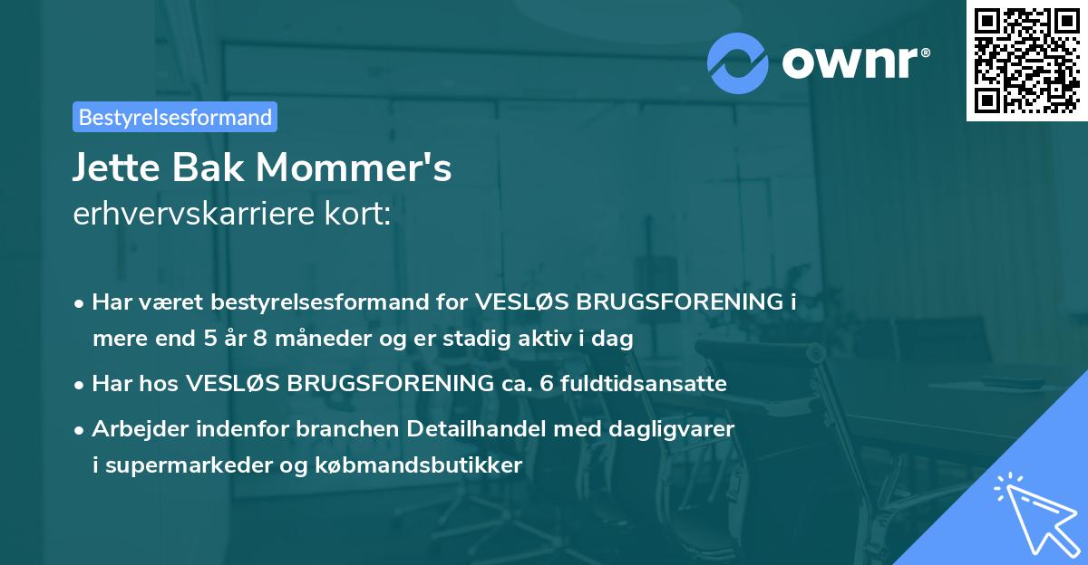 Jette Bak Mommer's erhvervskarriere kort