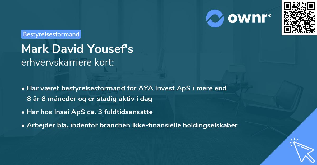 Mark David Yousef's erhvervskarriere kort