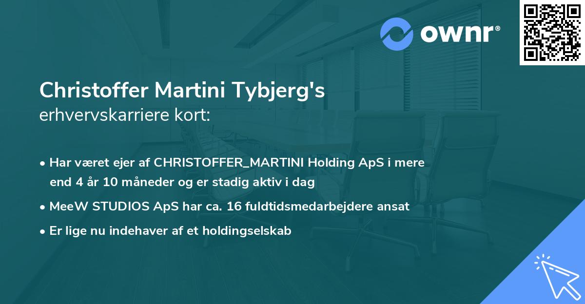 Christoffer Martini Tybjerg's erhvervskarriere kort