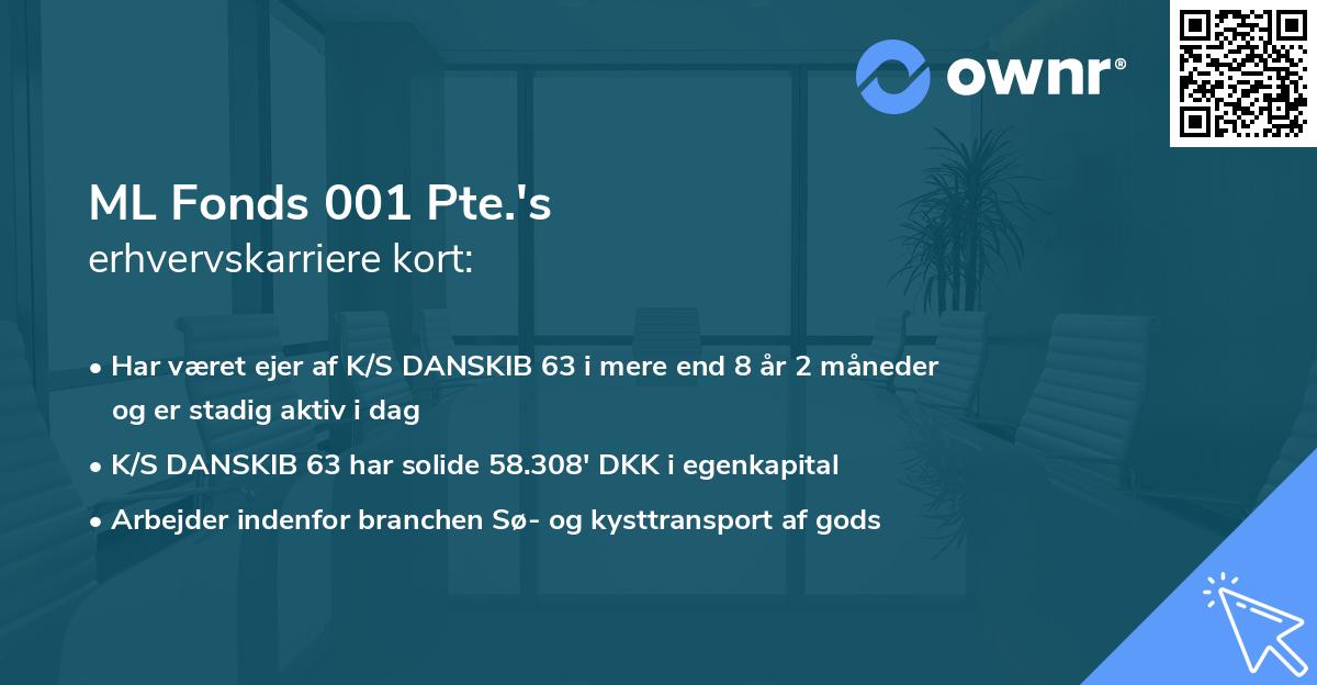 ML Fonds 001 Pte.'s erhvervskarriere kort