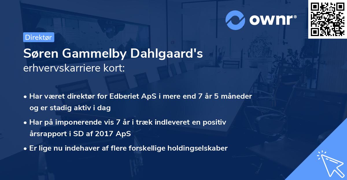 Søren Gammelby Dahlgaard's erhvervskarriere kort