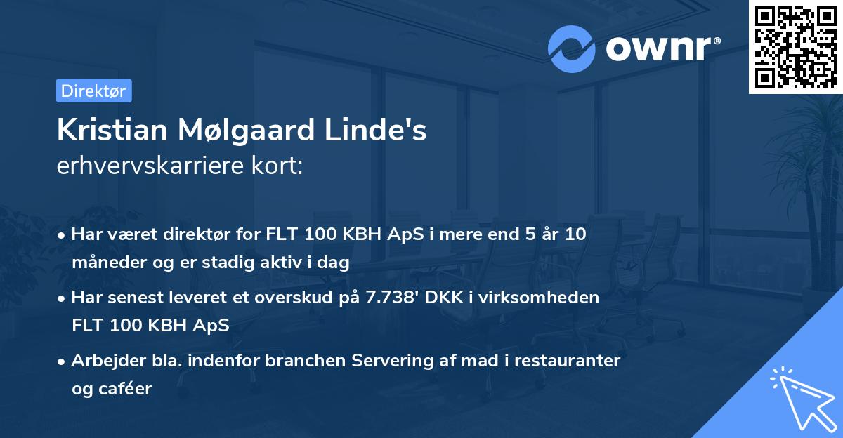 Kristian Mølgaard Linde's erhvervskarriere kort