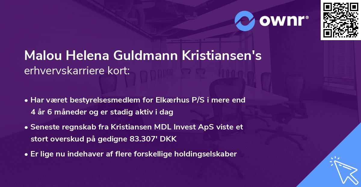 Malou Helena Guldmann Kristiansen's erhvervskarriere kort