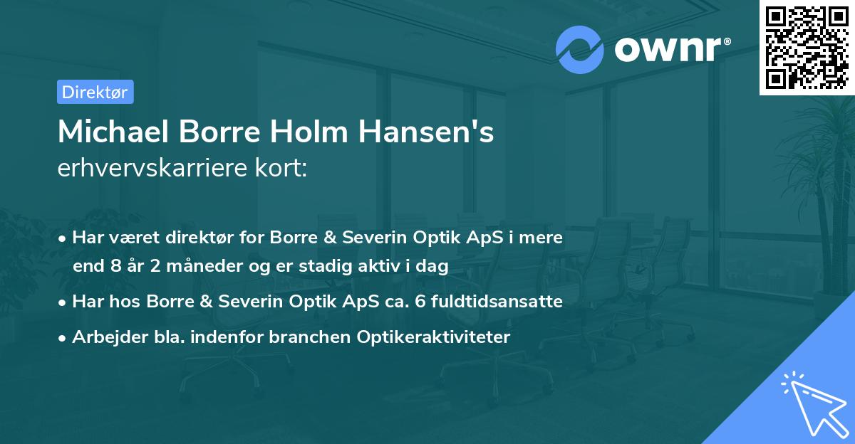 Michael Borre Holm Hansen's erhvervskarriere kort