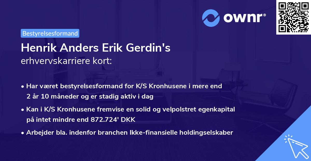 Henrik Anders Erik Gerdin's erhvervskarriere kort