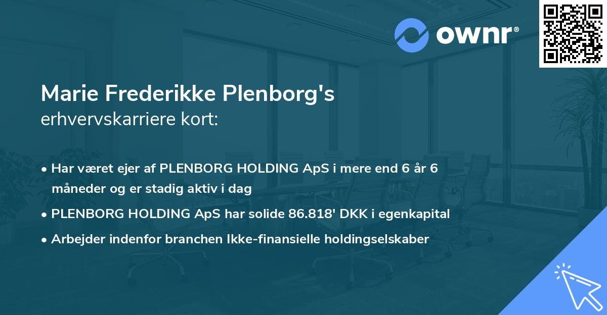 Marie Frederikke Plenborg's erhvervskarriere kort