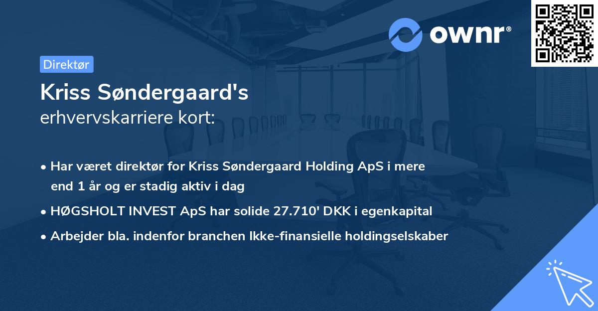 Kriss Søndergaard's erhvervskarriere kort