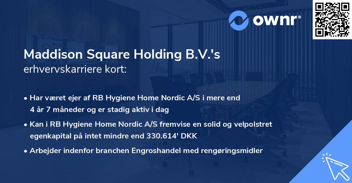 Maddison Square Holding B.V.'s erhvervskarriere kort