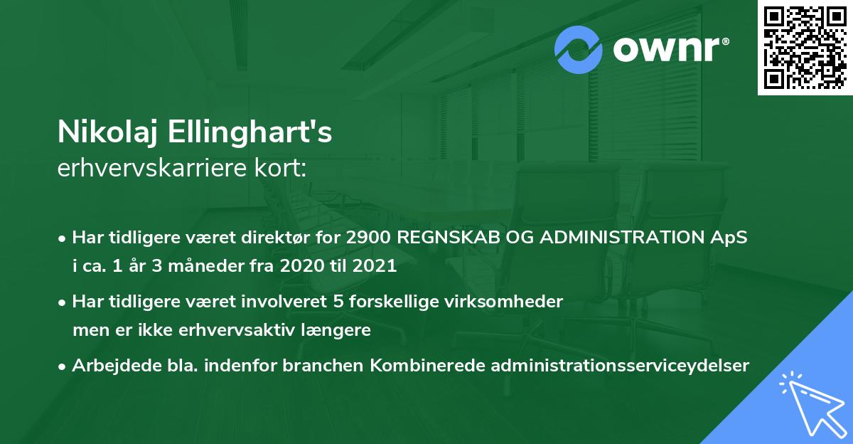 Nikolaj Ellinghart's erhvervskarriere kort