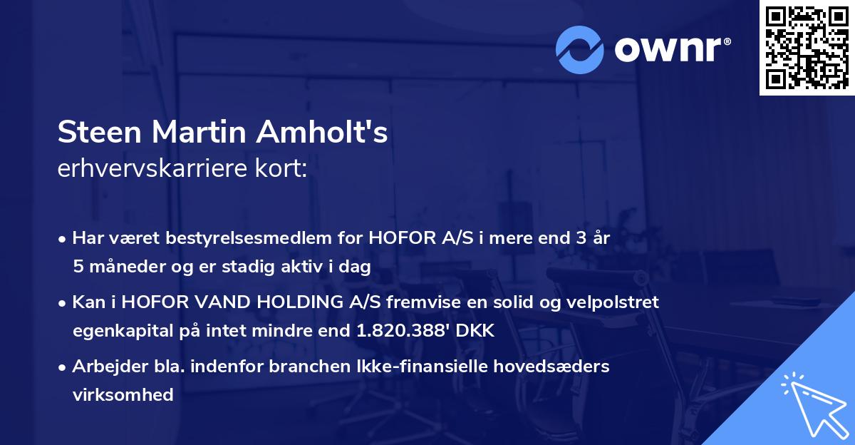 Steen Martin Amholt's erhvervskarriere kort