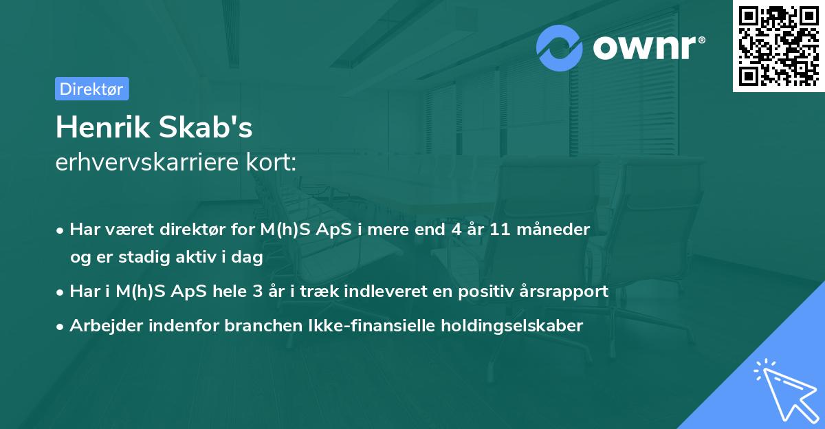 Henrik Skab's erhvervskarriere kort