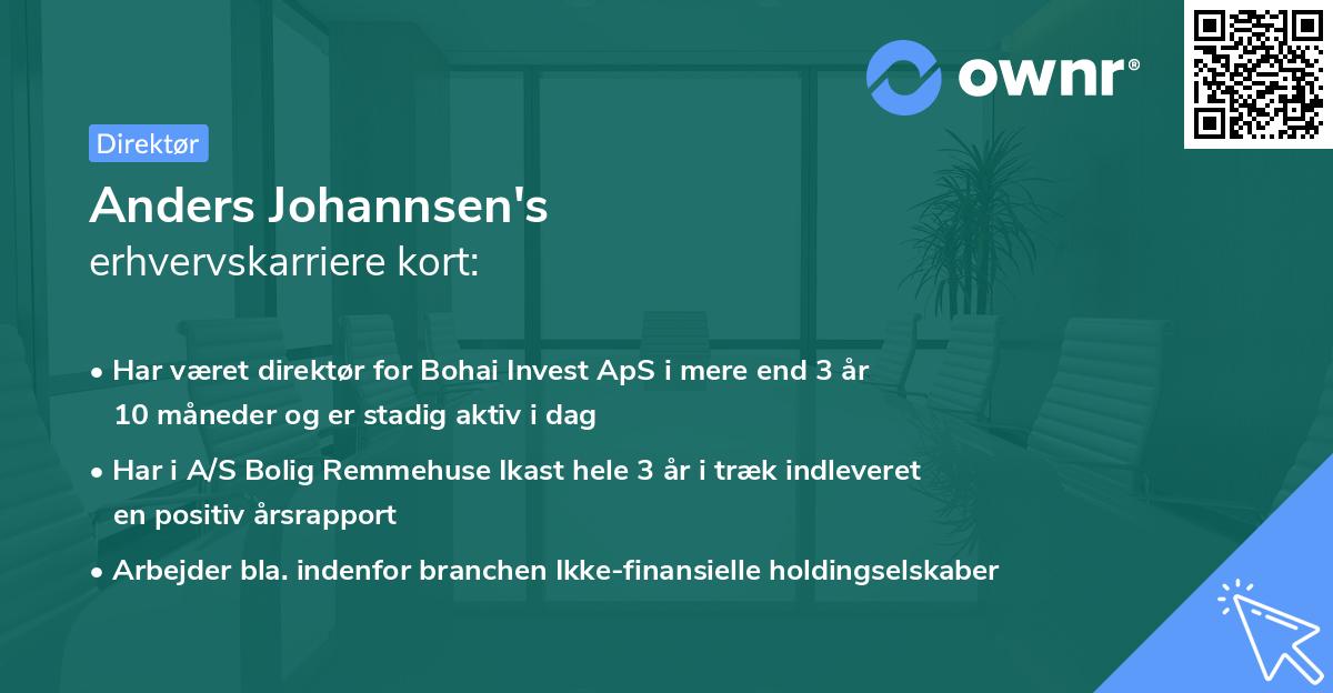 Anders Johannsen's erhvervskarriere kort