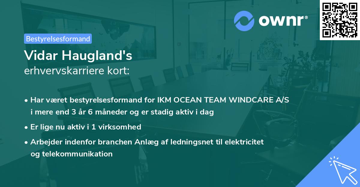 Vidar Haugland's erhvervskarriere kort