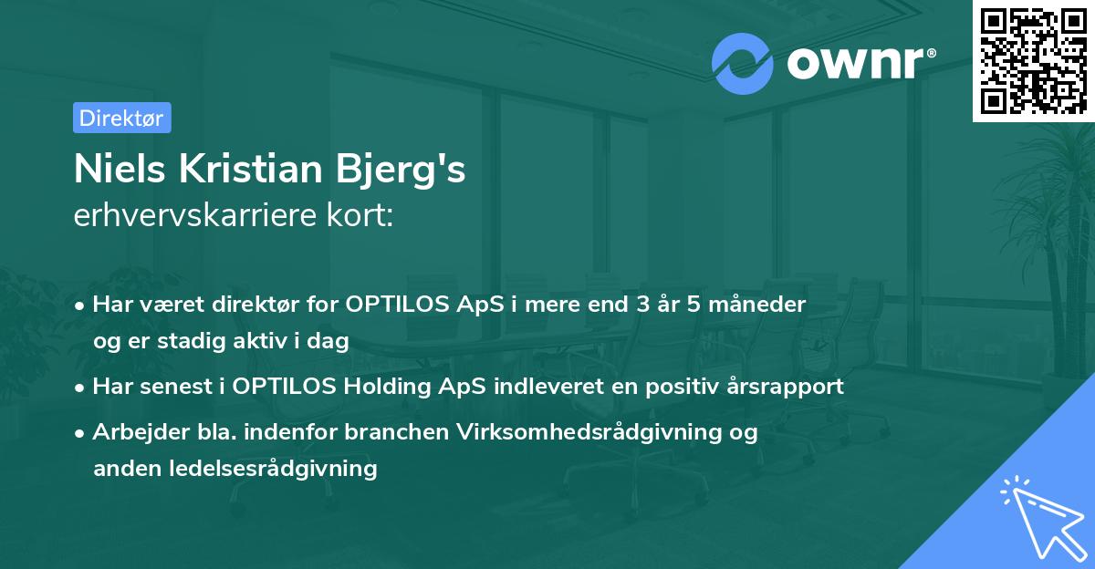 Niels Kristian Bjerg's erhvervskarriere kort