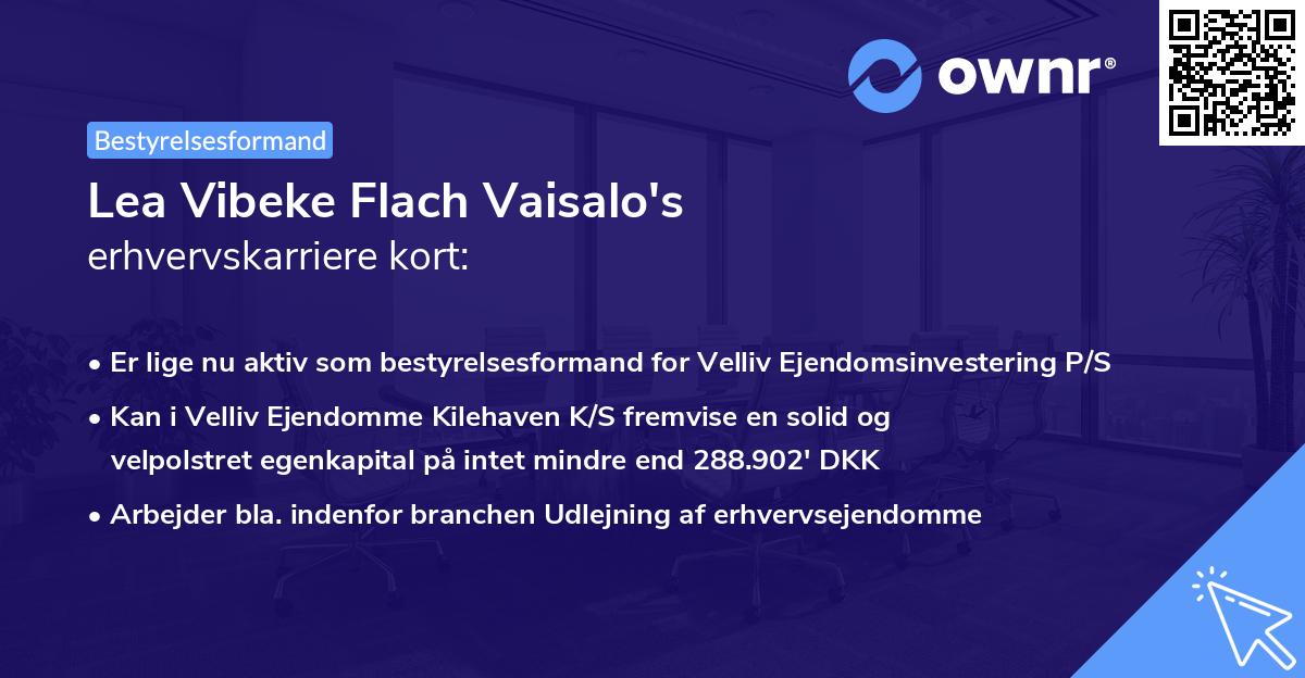 Lea Vibeke Flach Vaisalo's erhvervskarriere kort