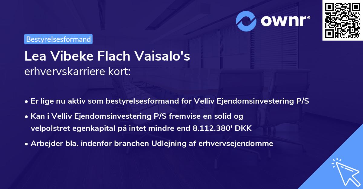 Lea Vibeke Flach Vaisalo's erhvervskarriere kort