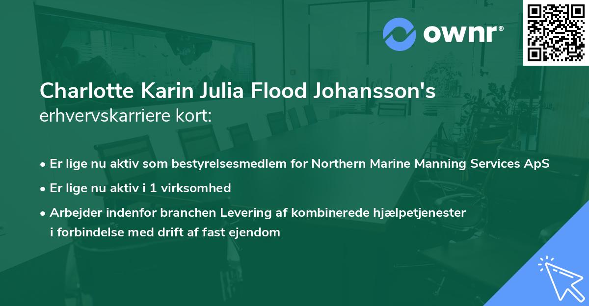 Charlotte Karin Julia Flood Johansson's erhvervskarriere kort