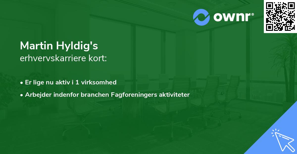 Martin Hyldig's erhvervskarriere kort