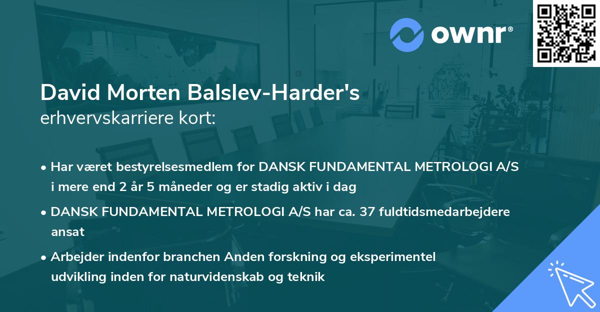 David Morten Balslev-Harder's erhvervskarriere kort