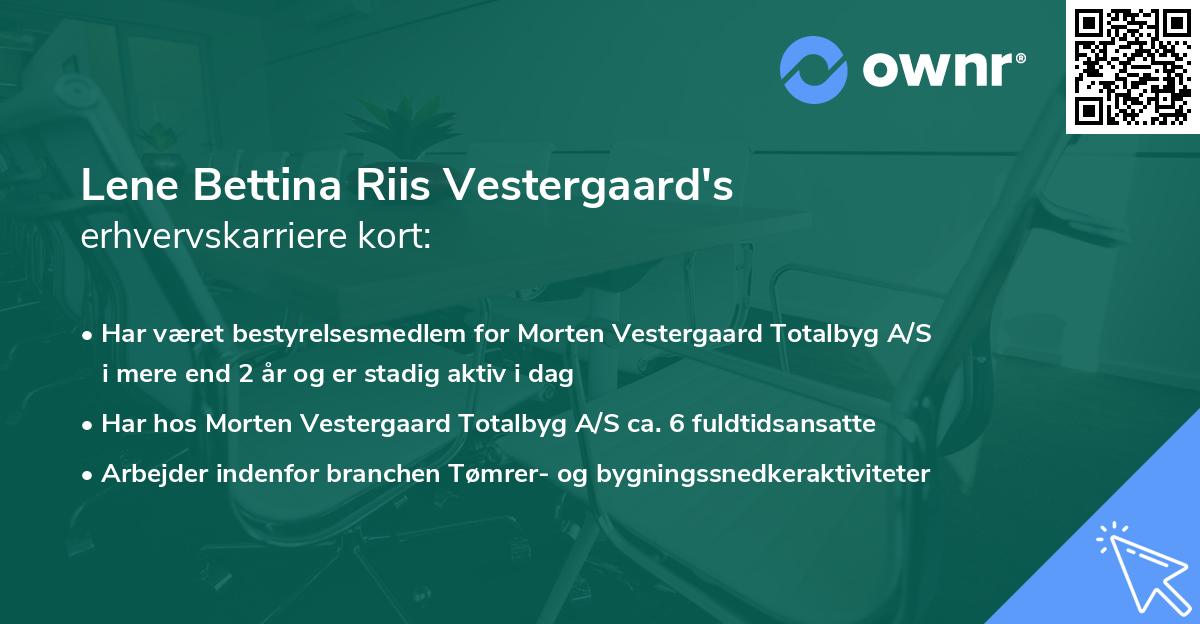 Lene Bettina Riis Vestergaard's erhvervskarriere kort