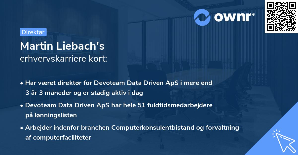 Martin Liebach's erhvervskarriere kort