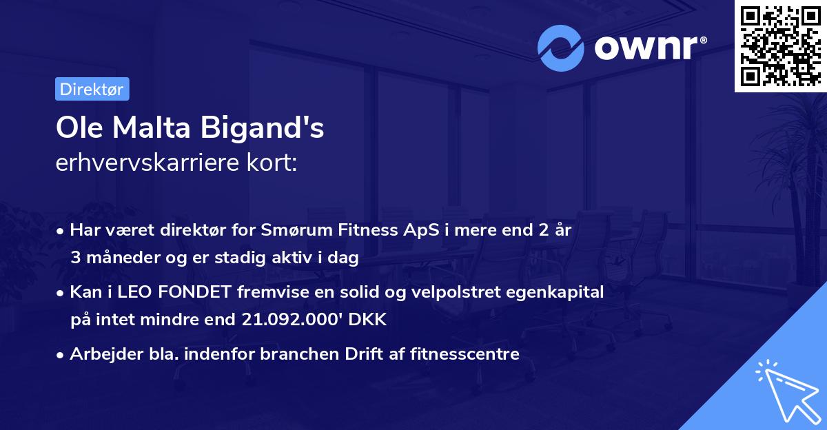 Ole Malta Bigand's erhvervskarriere kort