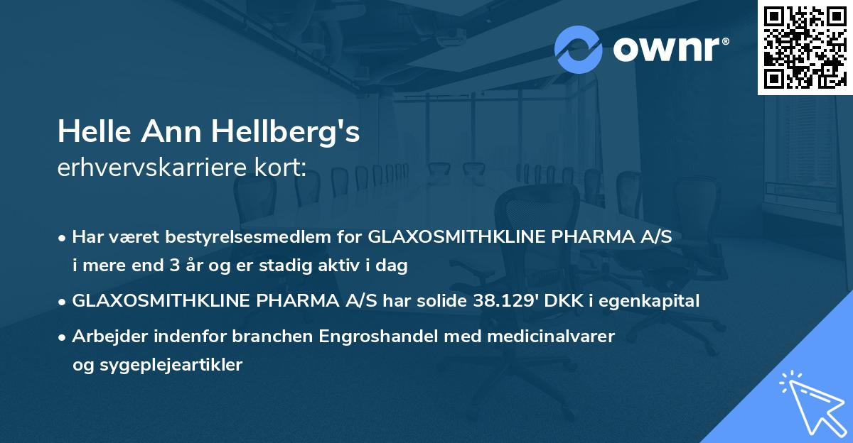 Helle Ann Hellberg's erhvervskarriere kort