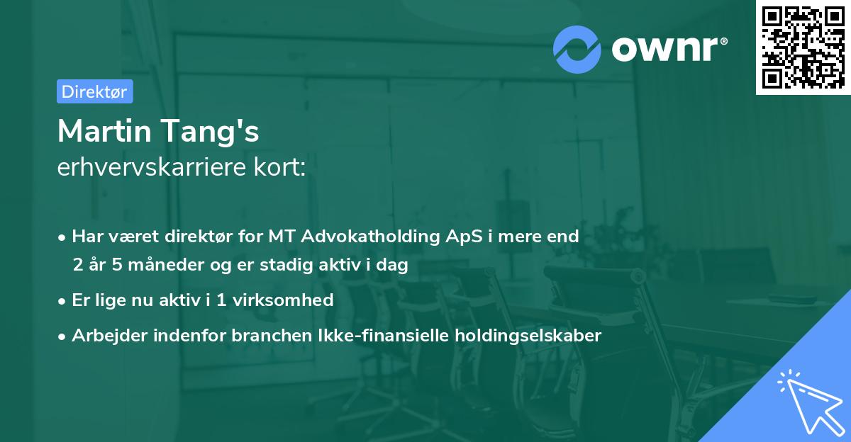 Martin Tang's erhvervskarriere kort